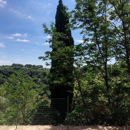 La Casa All'Oliveto Pitigliano Exteriör bild