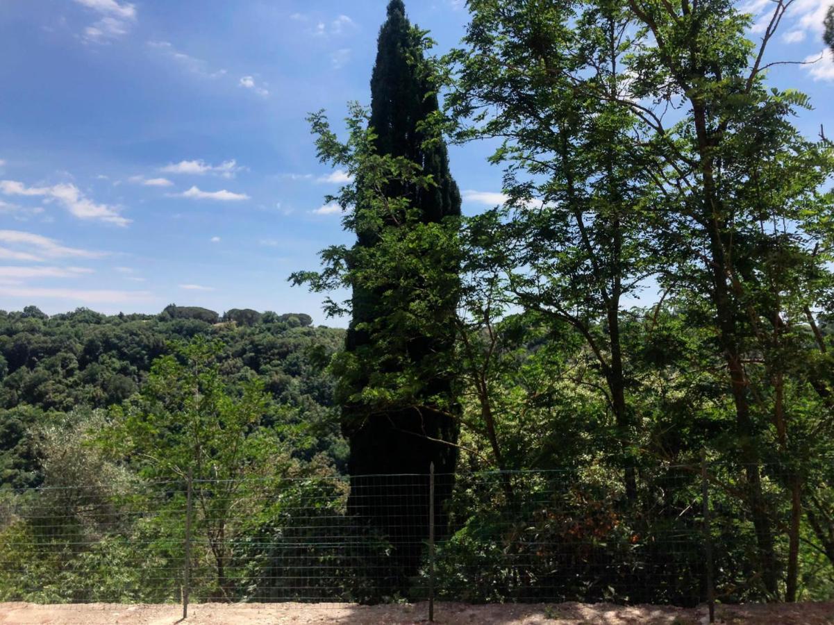 La Casa All'Oliveto Pitigliano Exteriör bild