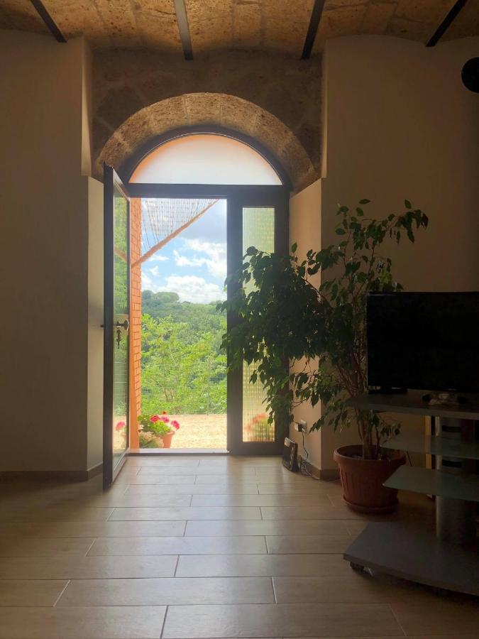 La Casa All'Oliveto Pitigliano Exteriör bild